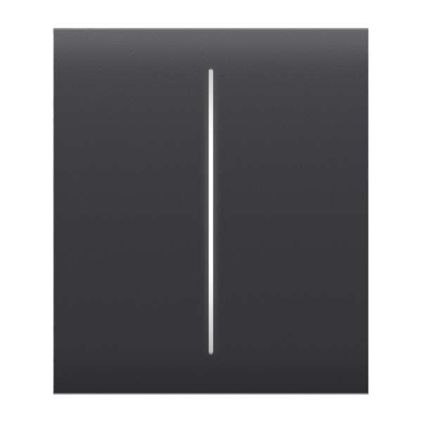 AJAX SYSTEMS - CENTER BUTTON (2-GANG) GRAPHITE Κεντρική πρόσοψη για πλαίσιο (Frame) 3, 4 ή 5 θέσεων ασύρματου διπλού διακόπτη ελέγχου φωτισμού, σε μολυβί χρώμα.