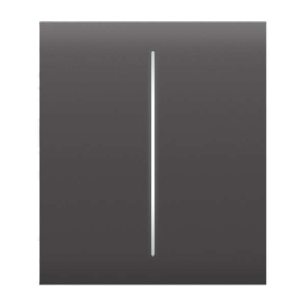 AJAX SYSTEMS - CENTER BUTTON (2-GANG) GREY Κεντρική πρόσοψη για πλαίσιο (Frame) 3, 4 ή 5 θέσεων ασύρματου διπλού διακόπτη ελέγχου φωτισμού, σε γκρι χρώμα.