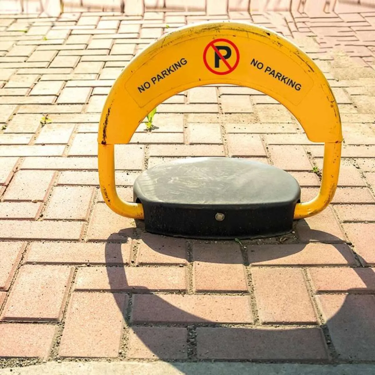 Cat31217 g park S 2 (002) 8584614599137641181 g6